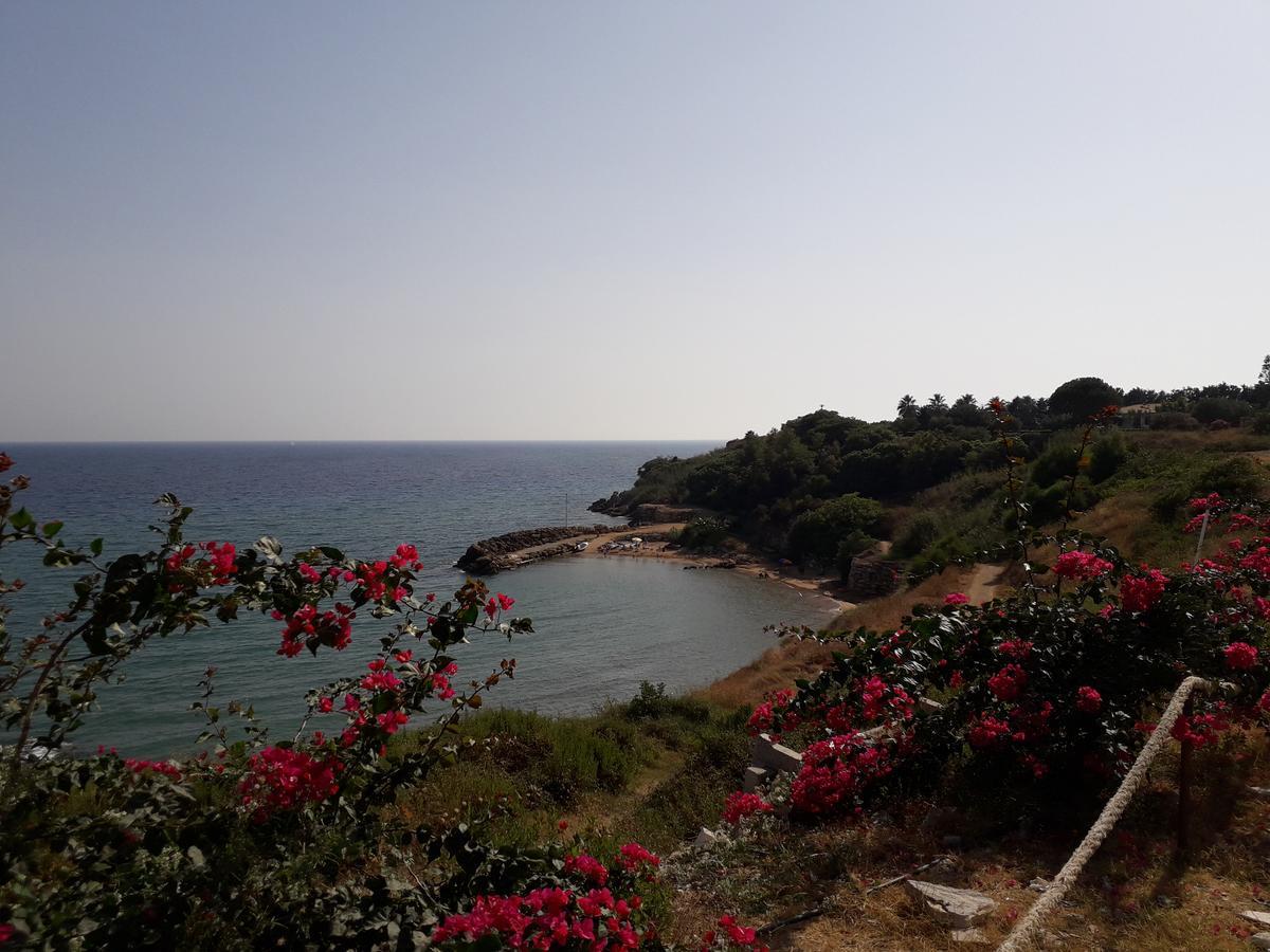 بيت شباب Casa Di Chiara كروتوني المظهر الخارجي الصورة